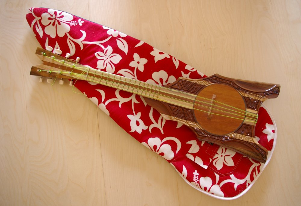 instruments a cordes polyn&eacute;siena