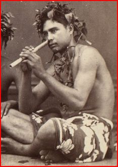 instruments a vent polyn&eacute;sien