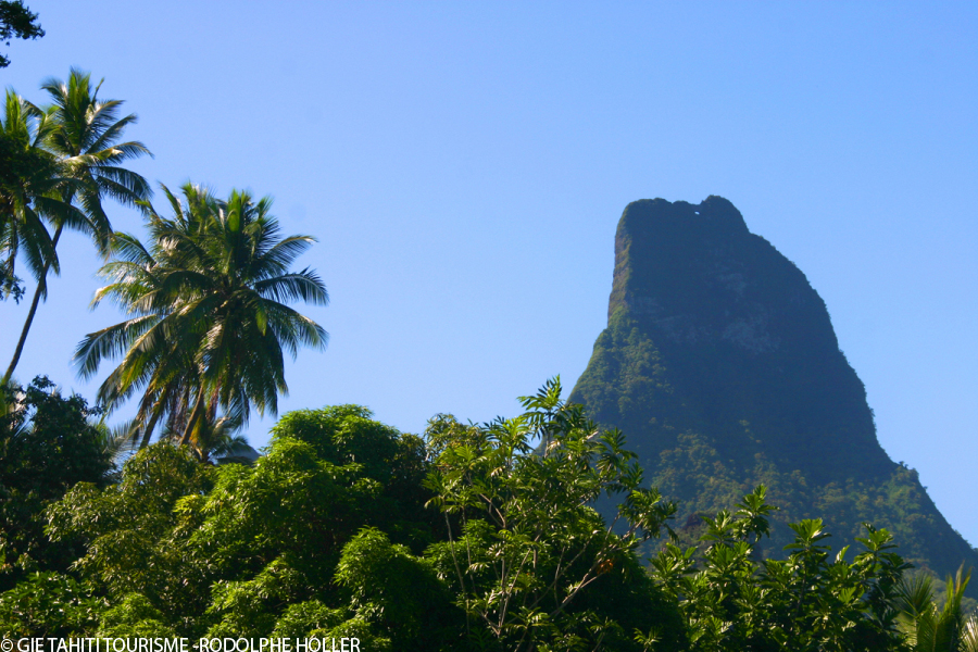 La flore des &icirc;les hautes de polyn&eacute;sie