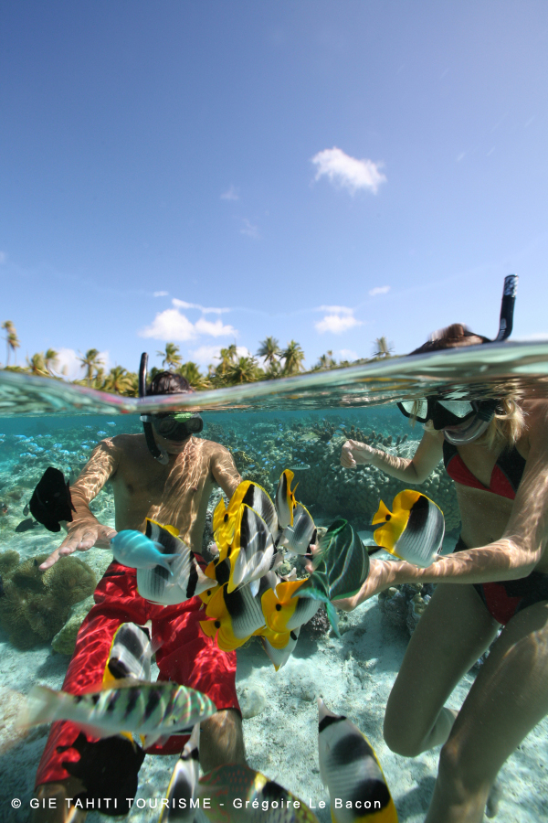 Club de plongée a tahiti