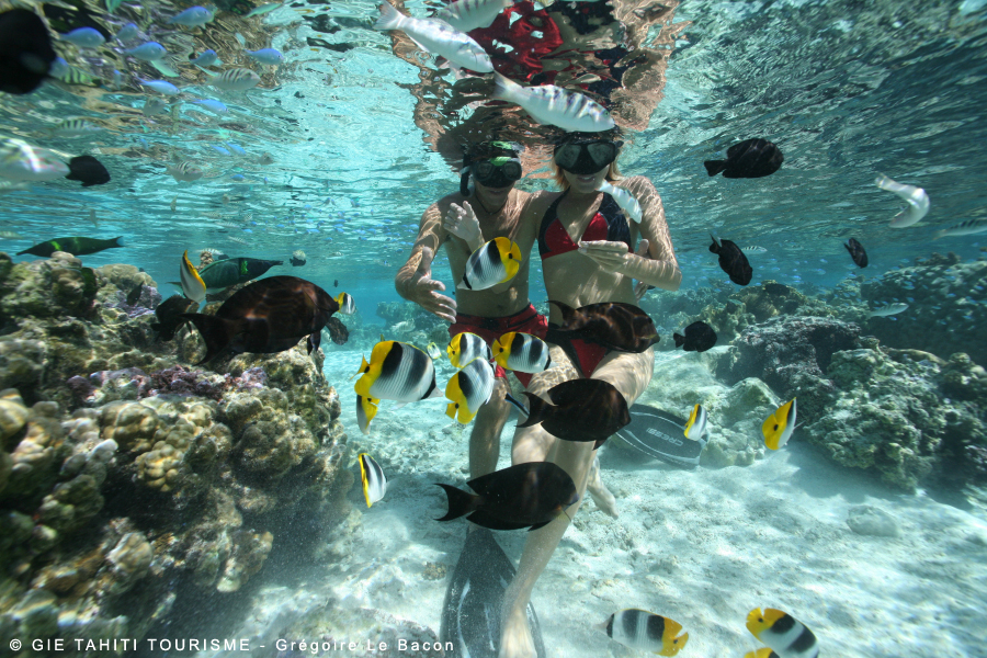 club de plong&eacute;e a rangiroa