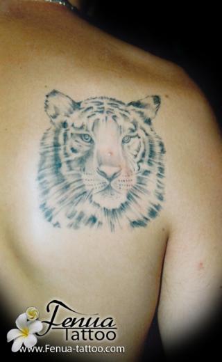 13°) Gros tigre