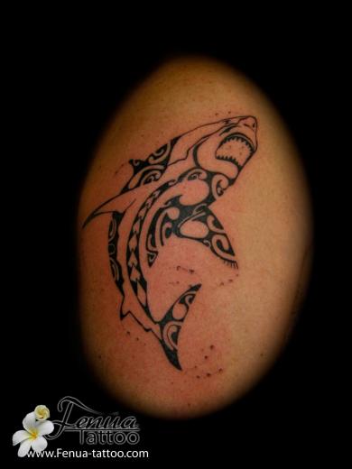 18°) requin blanc polynesien